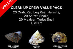 AAA: Clean Up Crew Value Pack