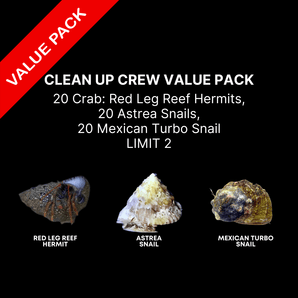 AAA: Clean Up Crew Value Pack