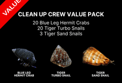 AAA: Clean Up Crew Value Pack