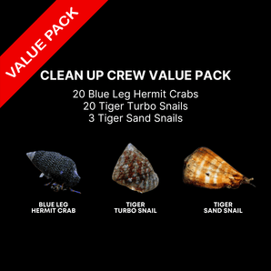 AAA: Clean Up Crew Value Pack