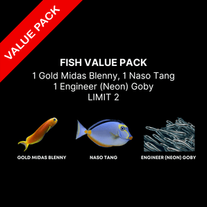 AAA: Fish Value Pack