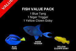 AAA: Fish Value Pack