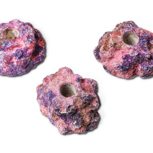 Rock: EcoRock Female Coral Plu