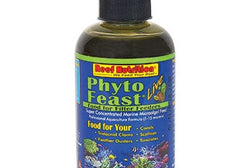 REN: Phyto-Feast Live 6oz