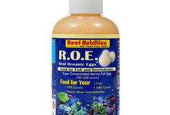 REN: Real Ocean Eggs 16oz