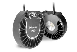 KES:Kessil A80 Tuna Blue