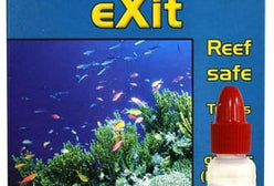 SAL:Salifert Flatworm Exit